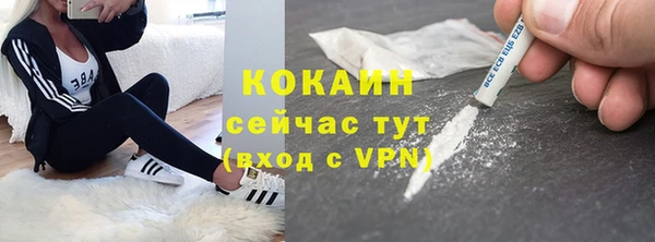 мяу мяу мука Аркадак