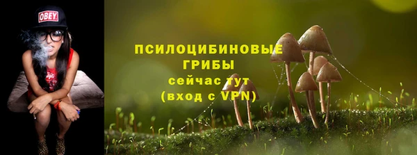 мяу мяу мука Аркадак