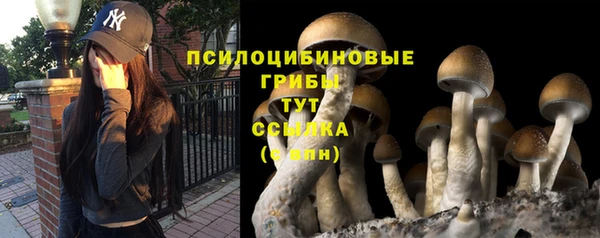 соль ск Алексин