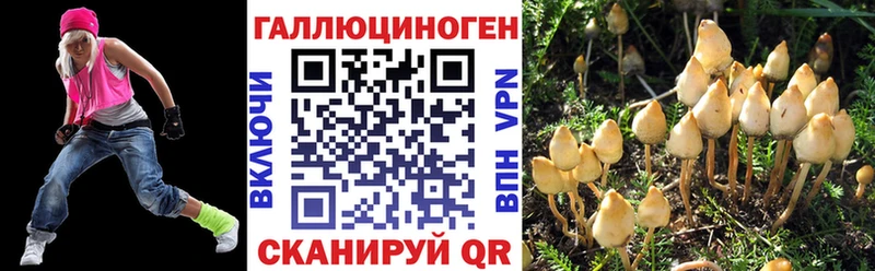 Купить где  Троицк  Галлюциногенные грибы прущие грибы 